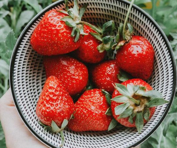 What are the Amazing 4 Fruits You Can Grow in Your Backyard