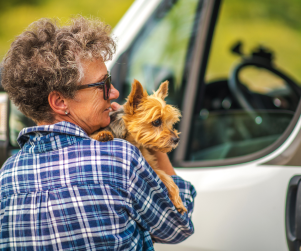 How to Protect your Car when Traveling with Pets